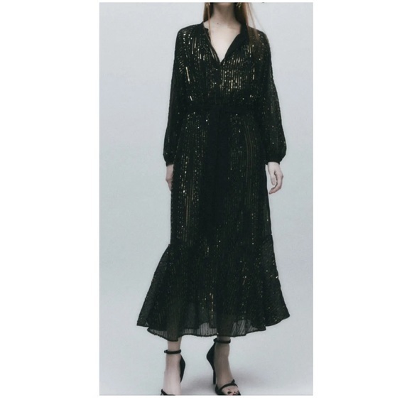 Zara Dresses & Skirts - - NWT ZARA LIMITED EDITION ELASTIC WAIST MIDI SEQUINNED DRESS SLOT COLLAR …